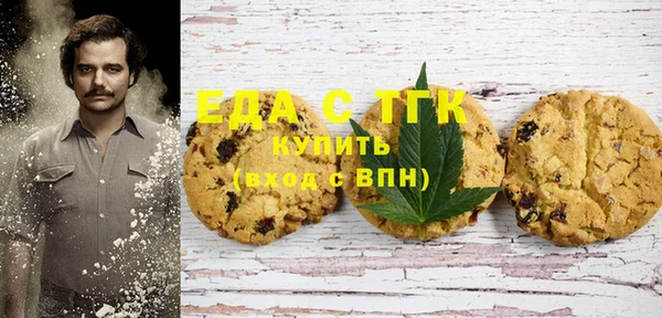 Альфа ПВП Горняк