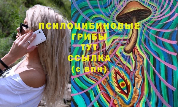 мет Гусиноозёрск