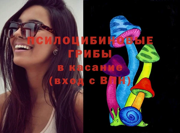 Альфа ПВП Горняк