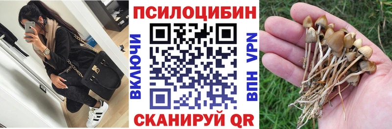 mega   Барнаул  Галлюциногенные грибы прущие грибы 